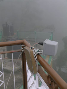 Dharamsala Mesh 3