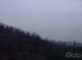 DSCF6383 * 2848 x 2136 * (1.63MB)