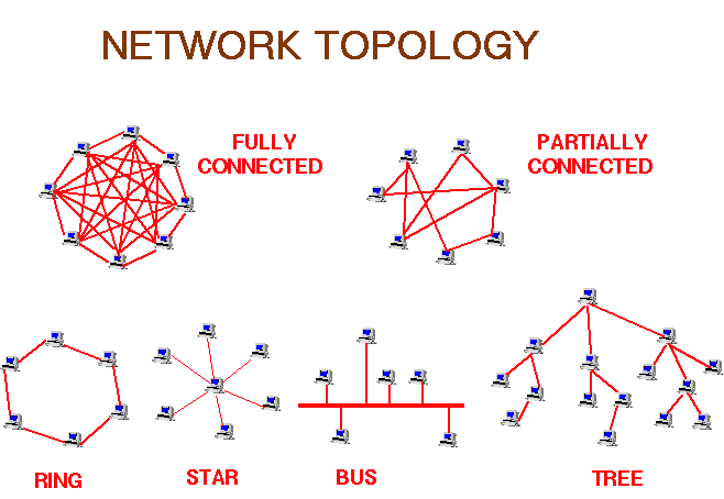 RING - STAR - BUS - TREE - (fully or partially connected)